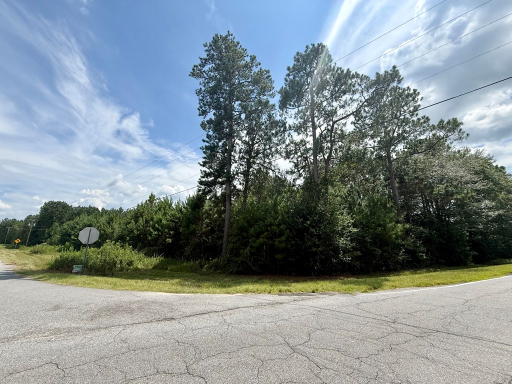 10 Mount Olive Church Rd
