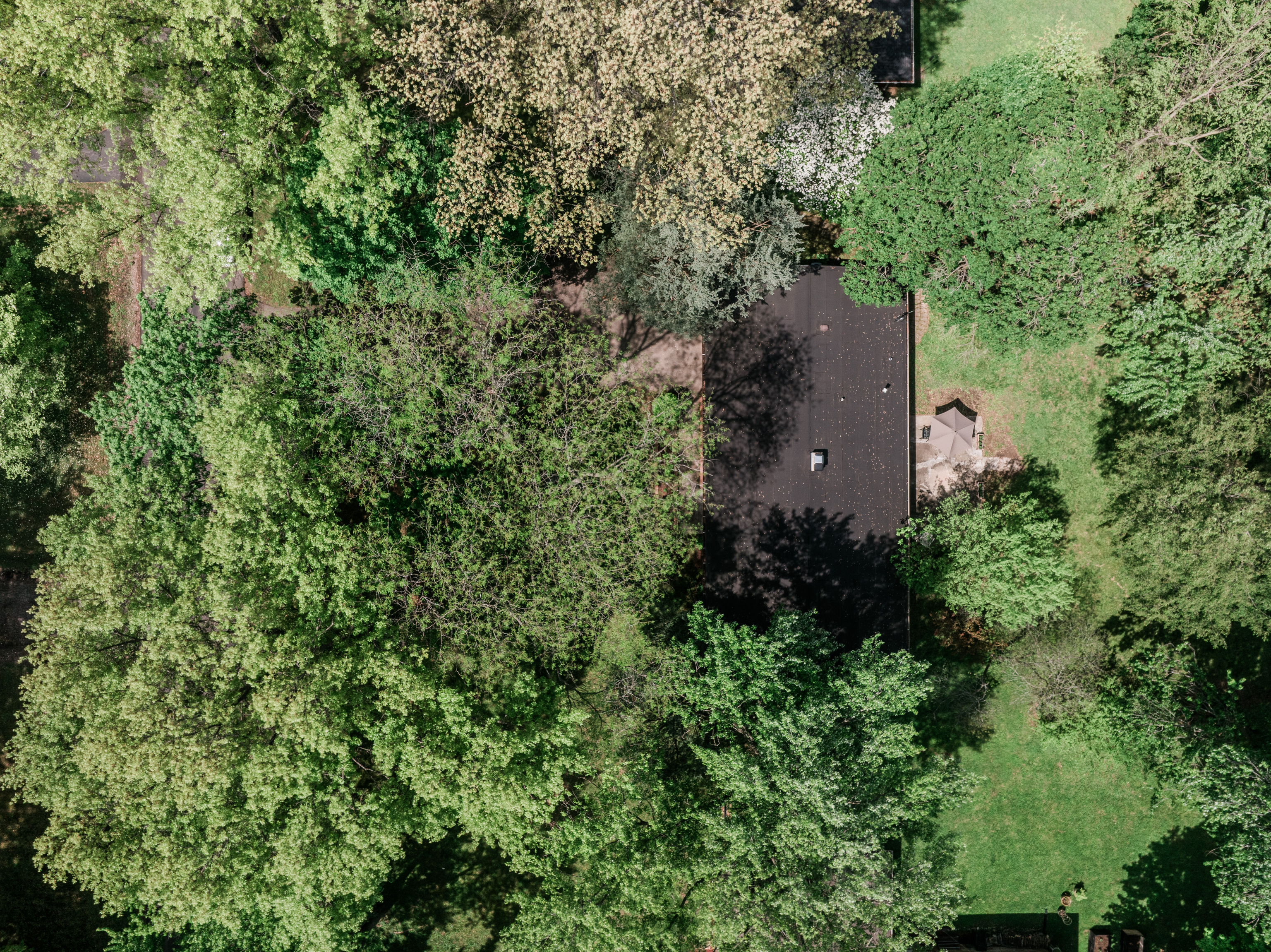 4888 Kessler View Drive