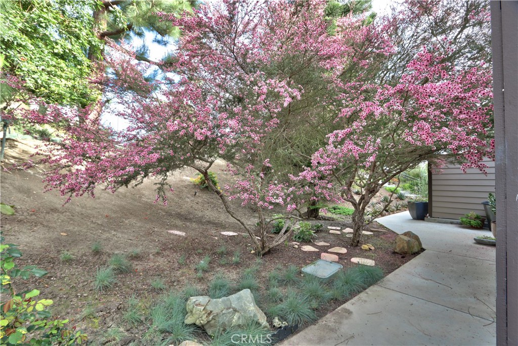 23782 Hillhurst Drive 3