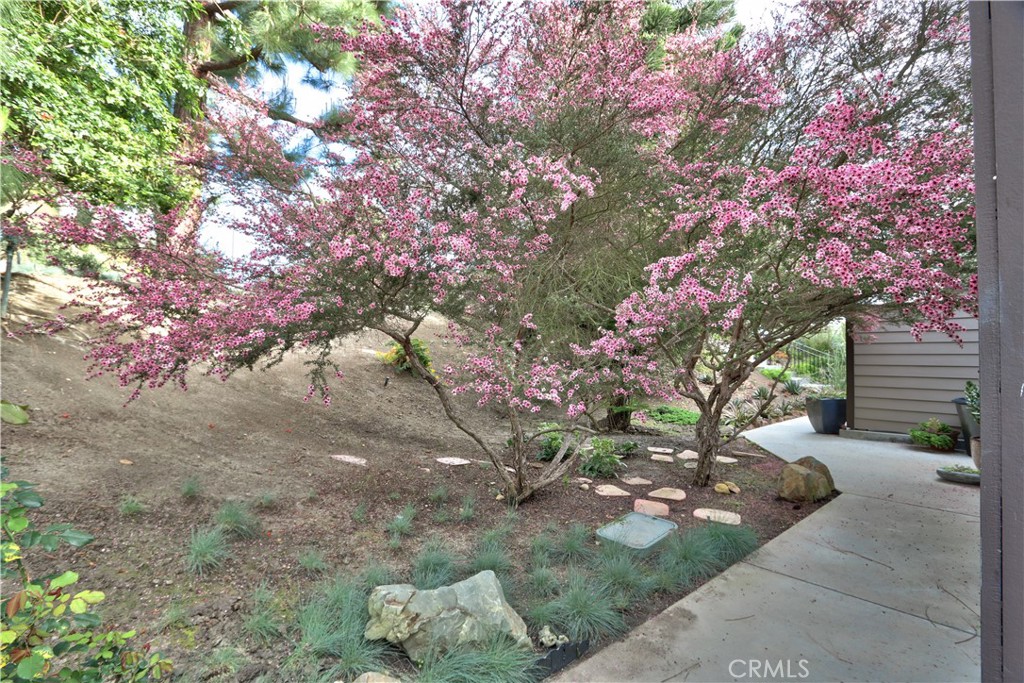 23782 Hillhurst Drive 3