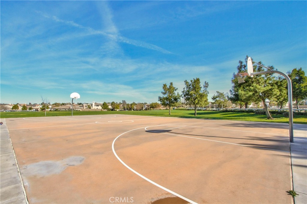 45579 Basswood Court