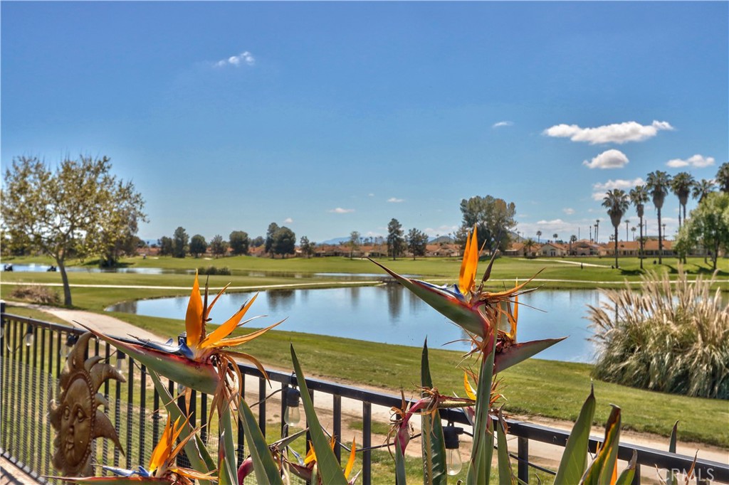 27929 Crystal Spring Drive