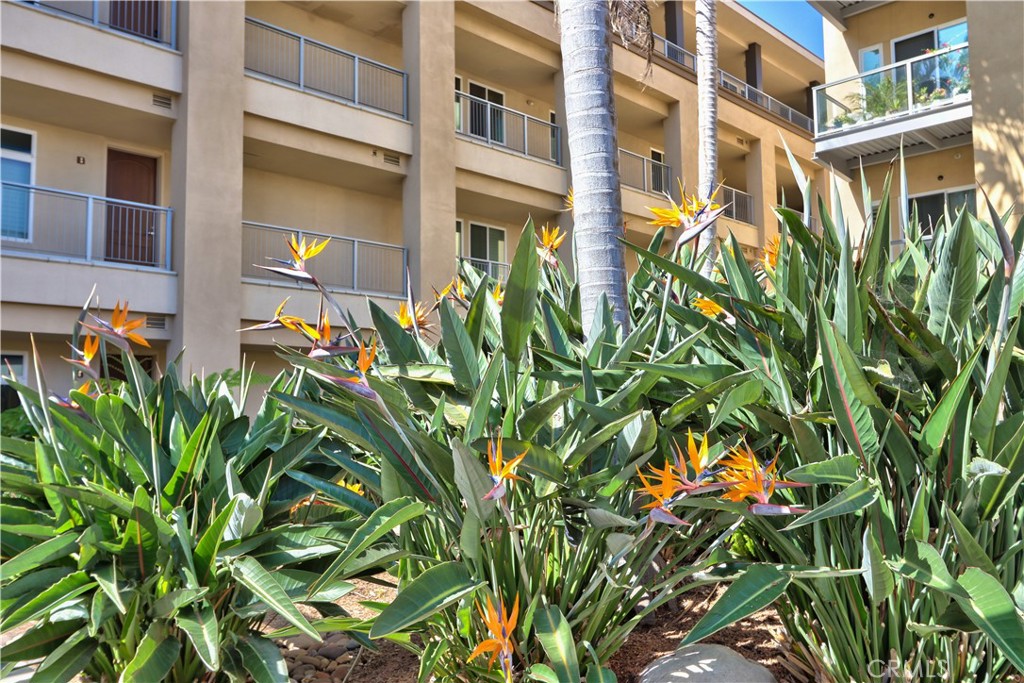 301 Mission Avenue 602