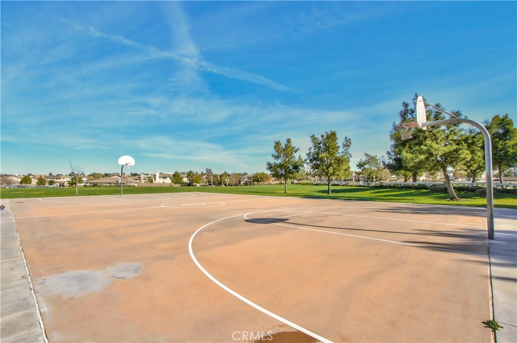 31220 Locust Court