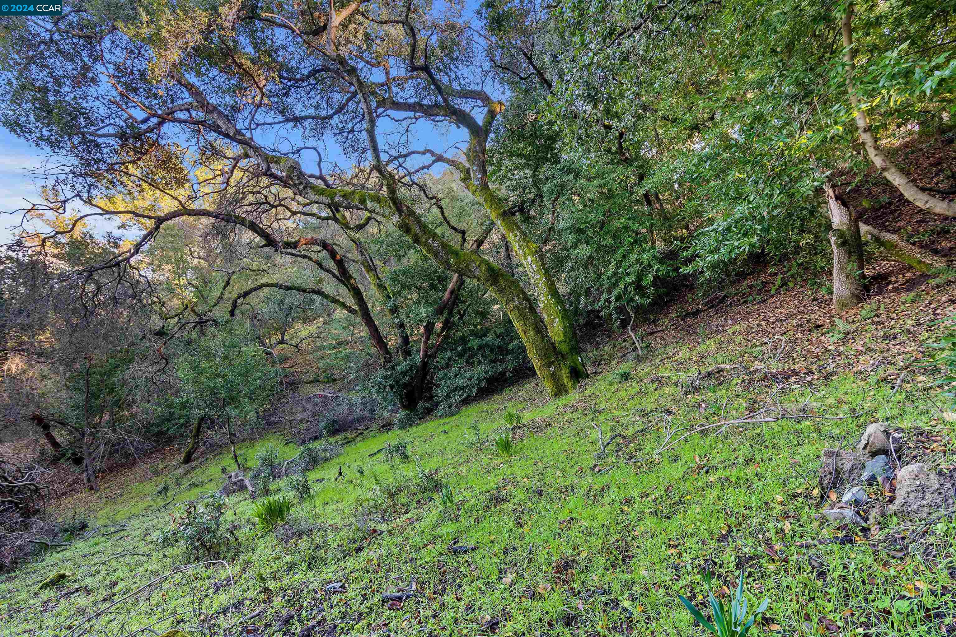 8 Mountain View Ln