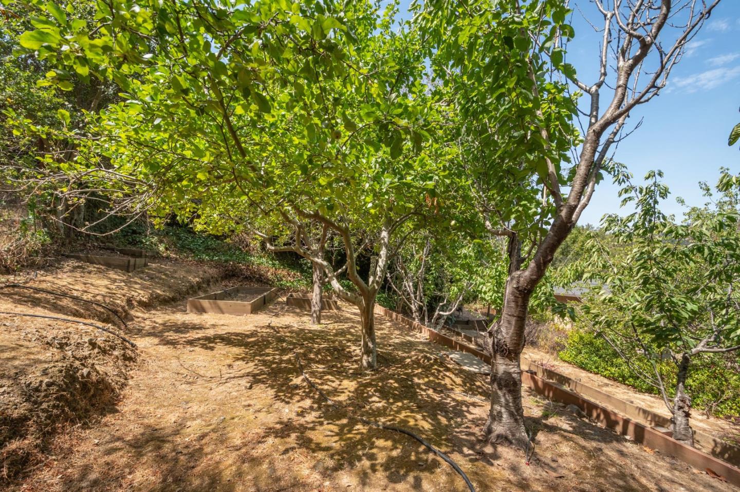 1236 Chula Vista DR