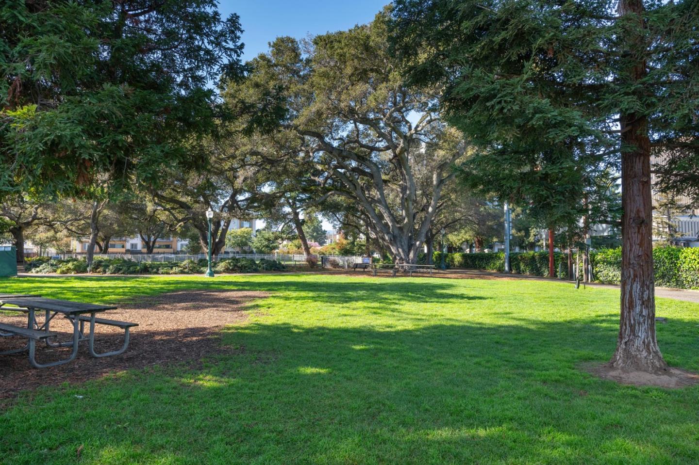 111 Saint Matthews Avenue 402