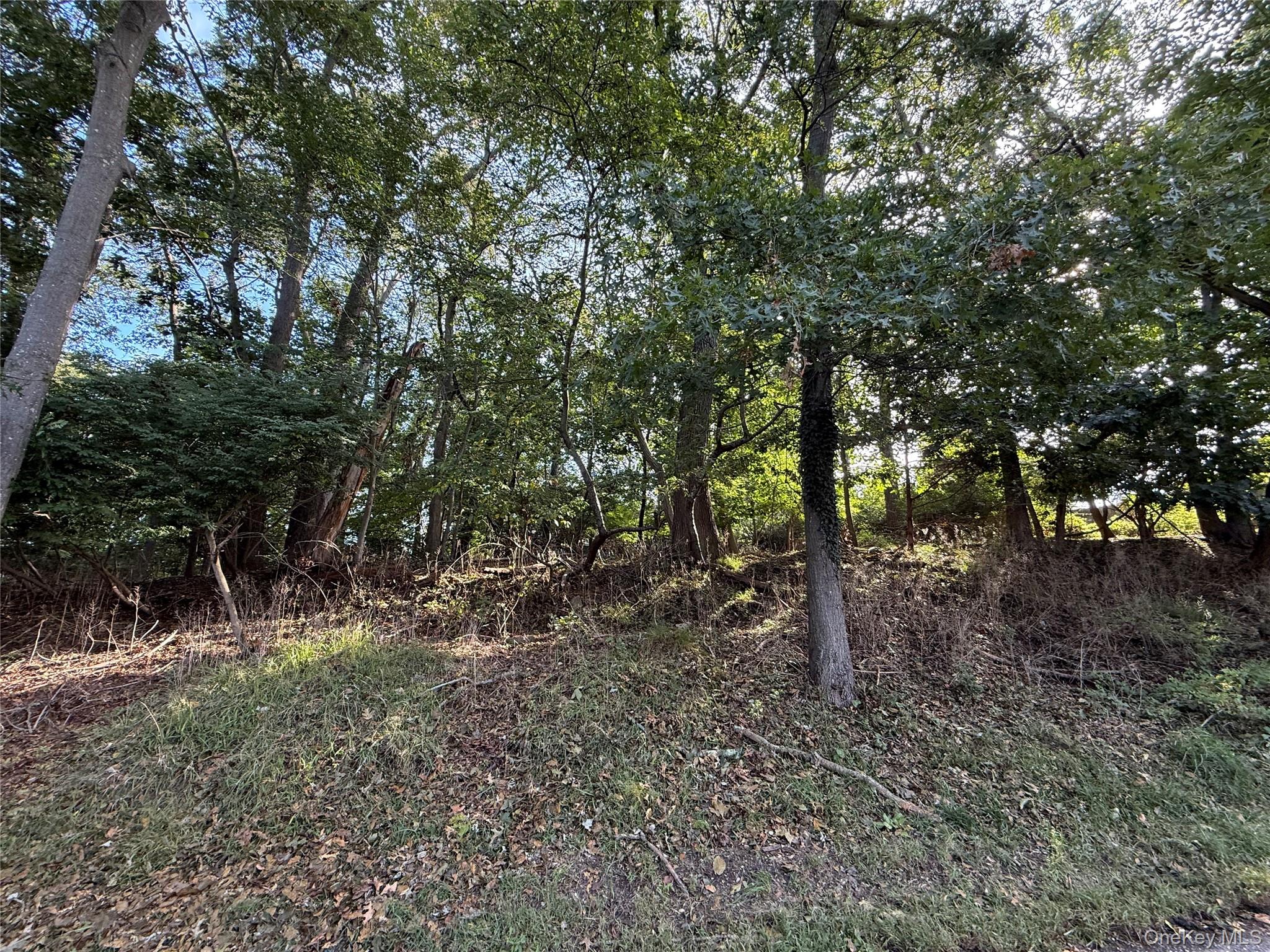 156 Maple Road