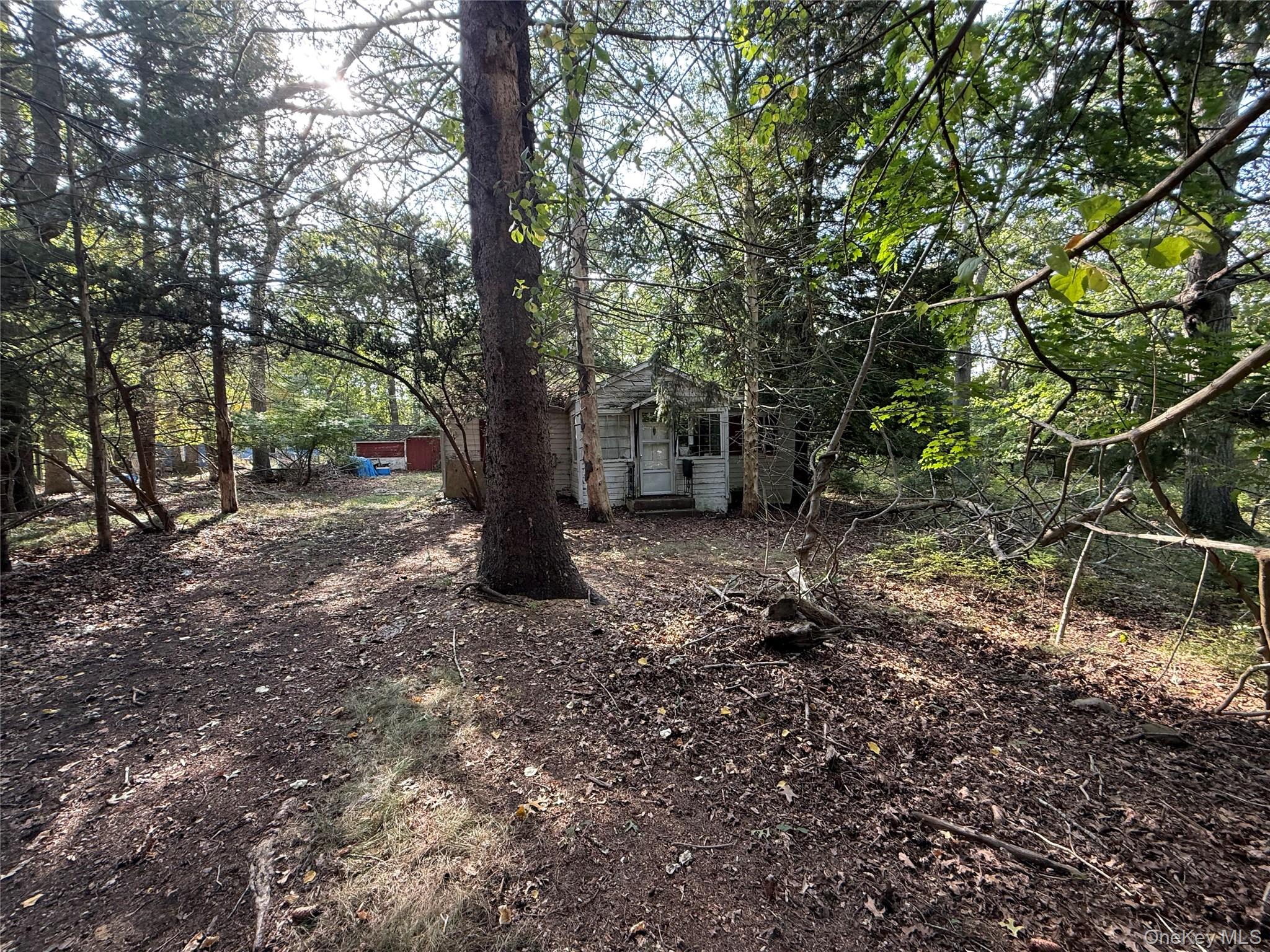 20 Primrose Path
