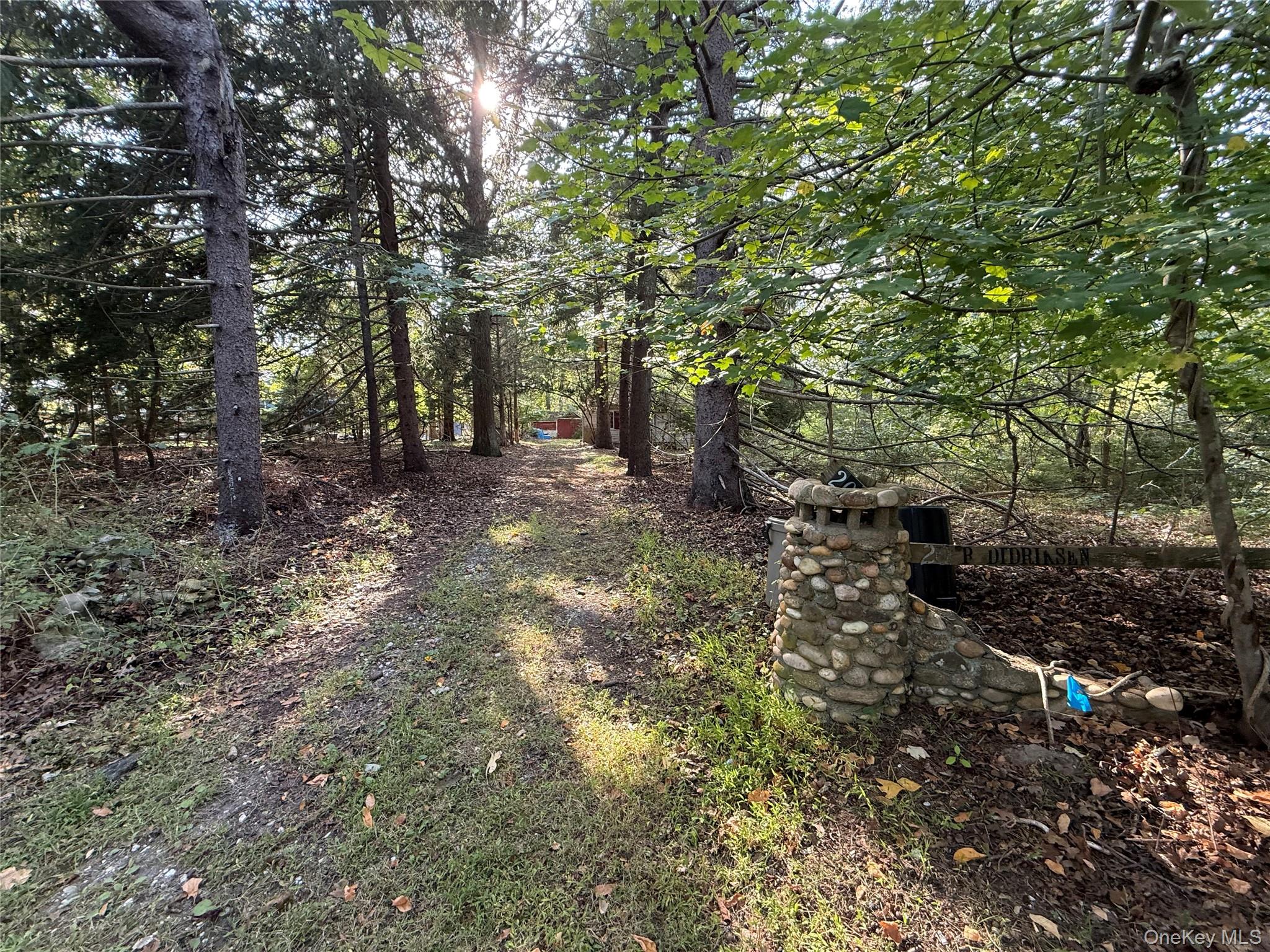 20 Primrose Path