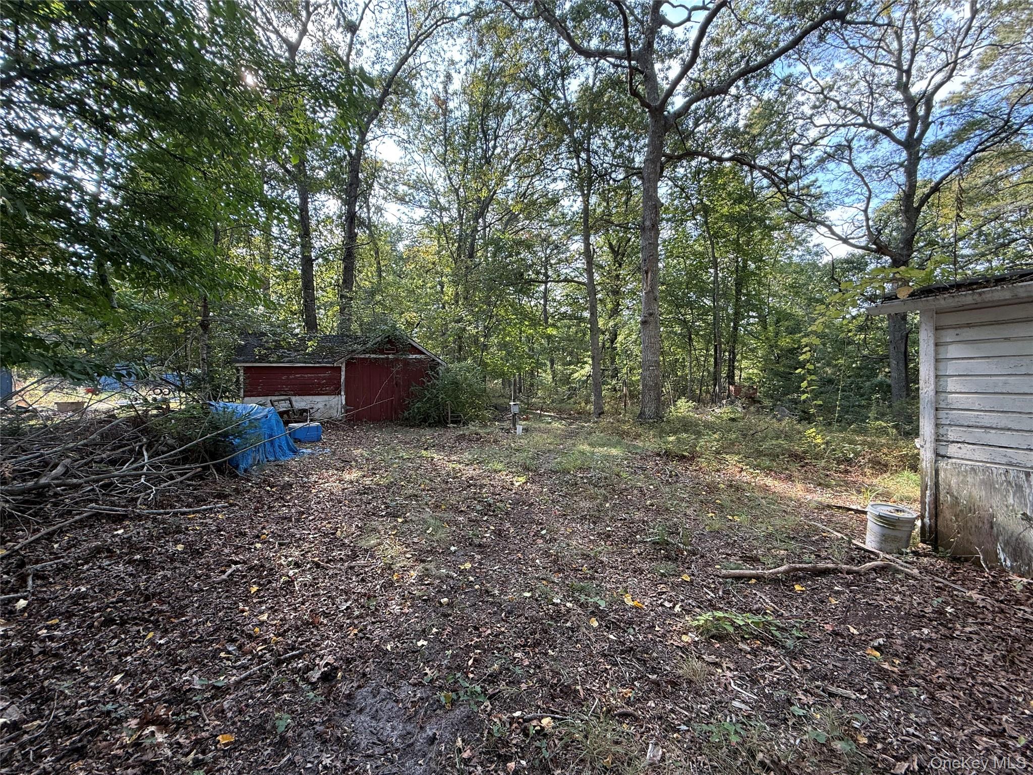 20 Primrose Path