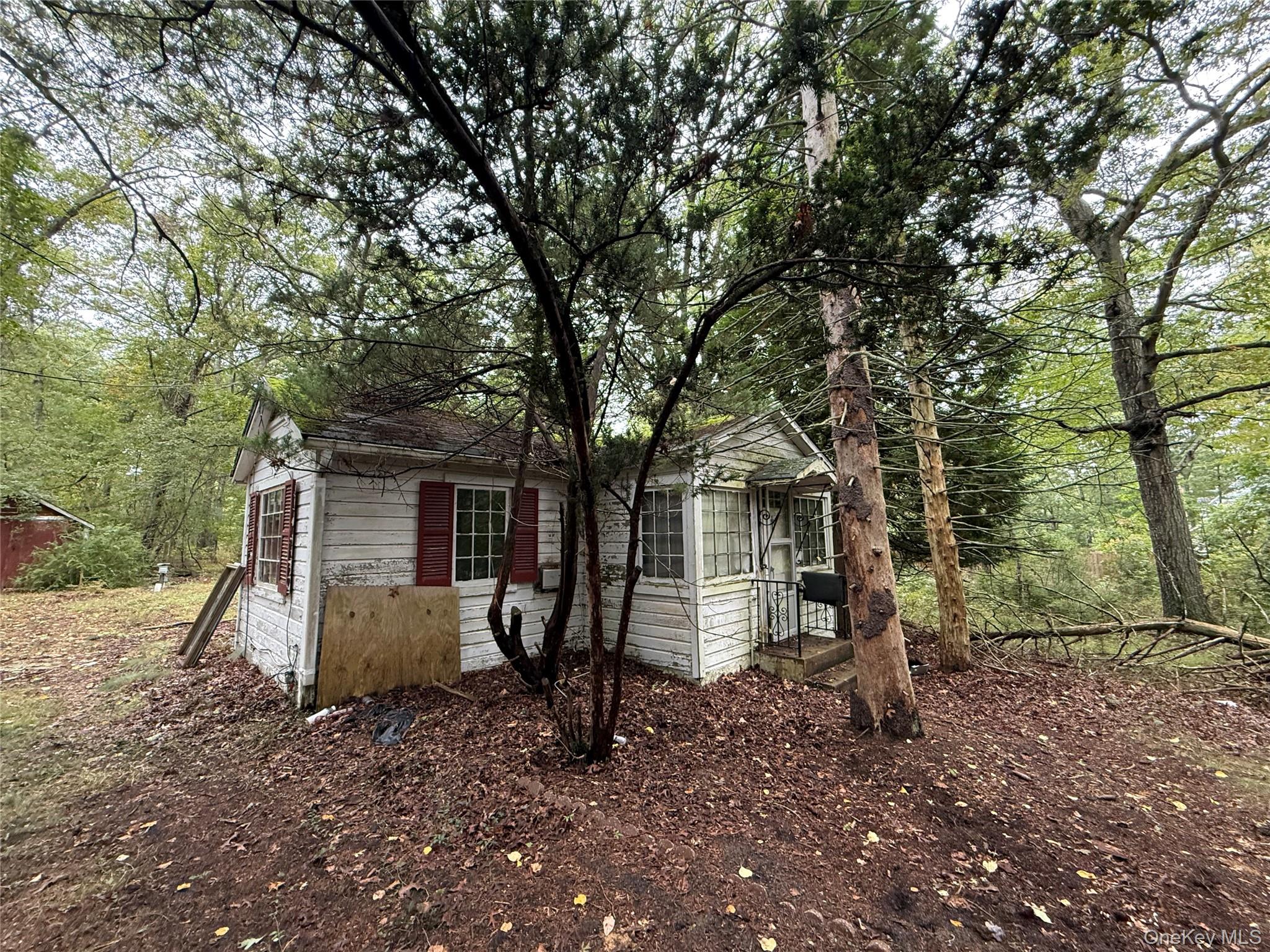 20 Primrose Path