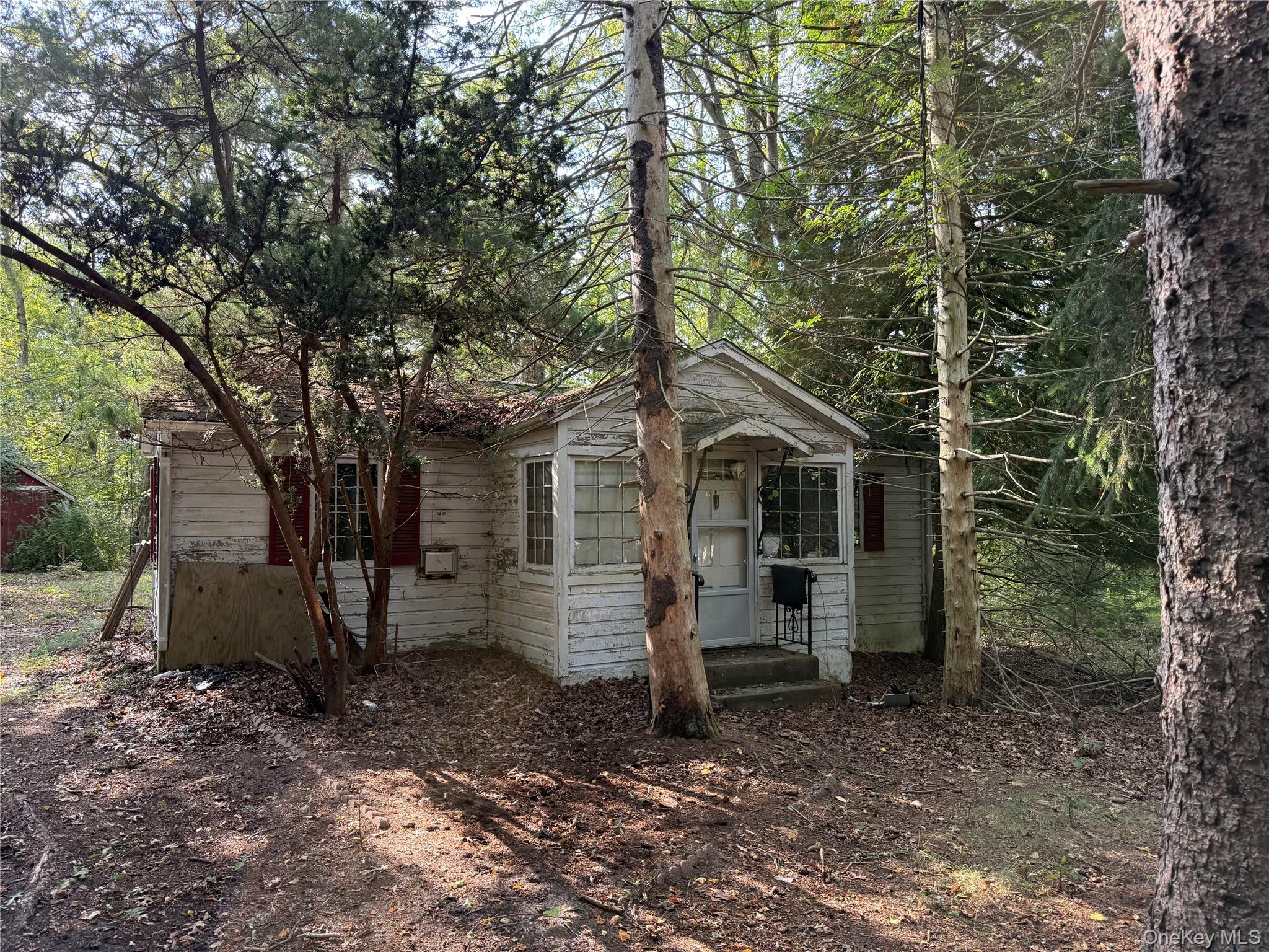 20 Primrose Path