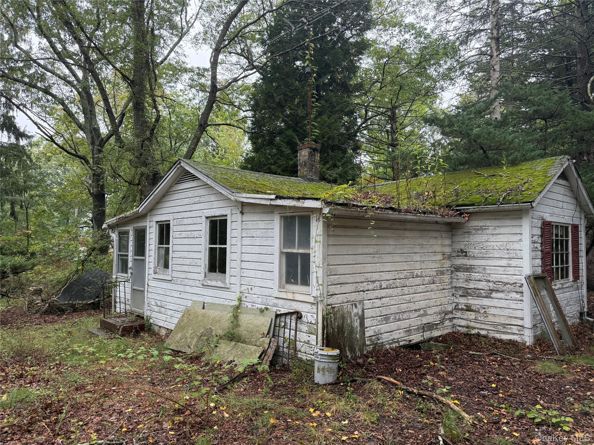 20 Primrose Path