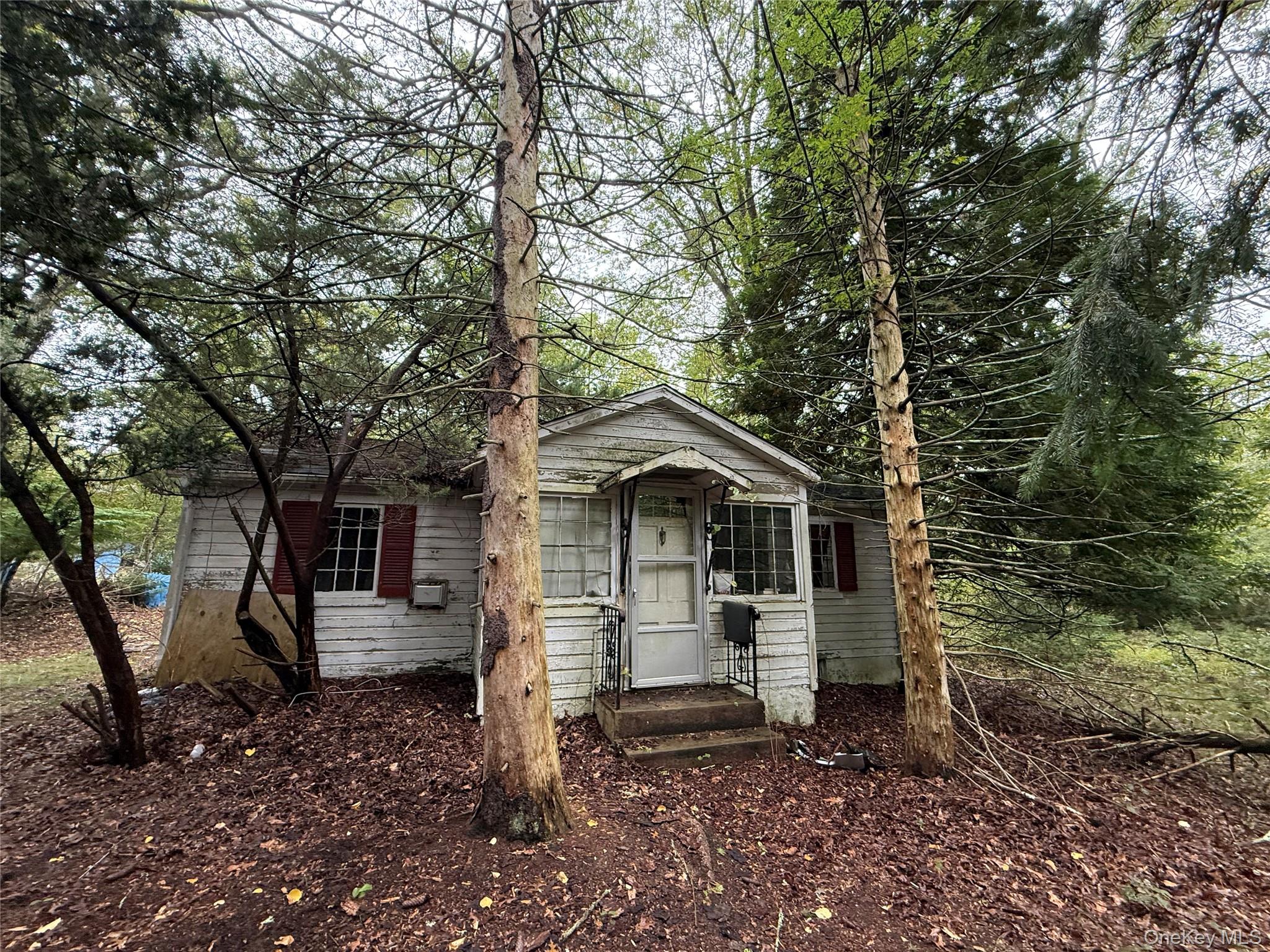 20 Primrose Path