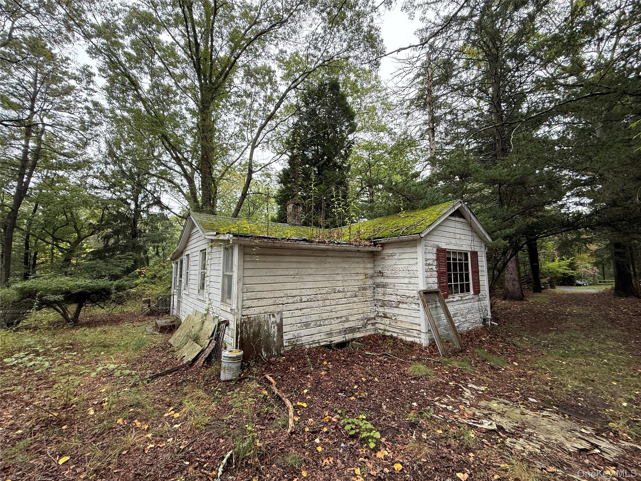20 Primrose Path