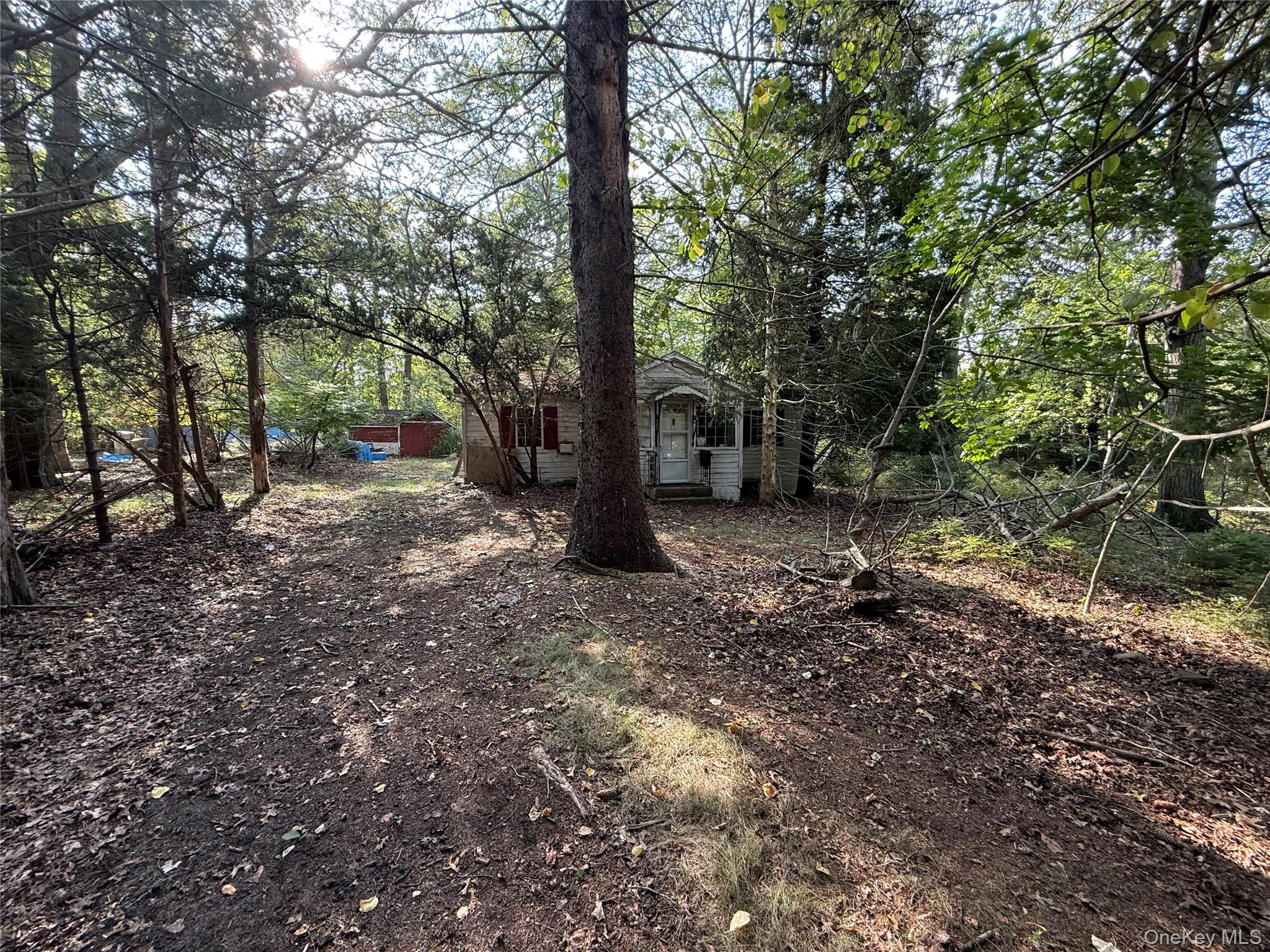 20 Primrose Path