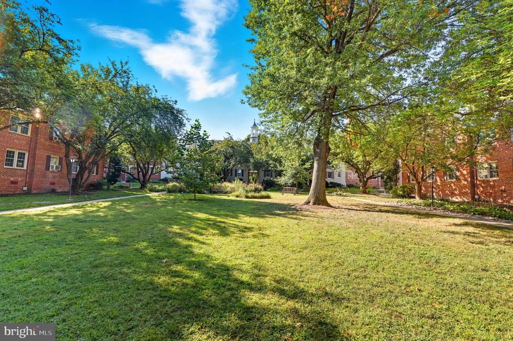 2302 COLSTON DRIVE Unit: 104