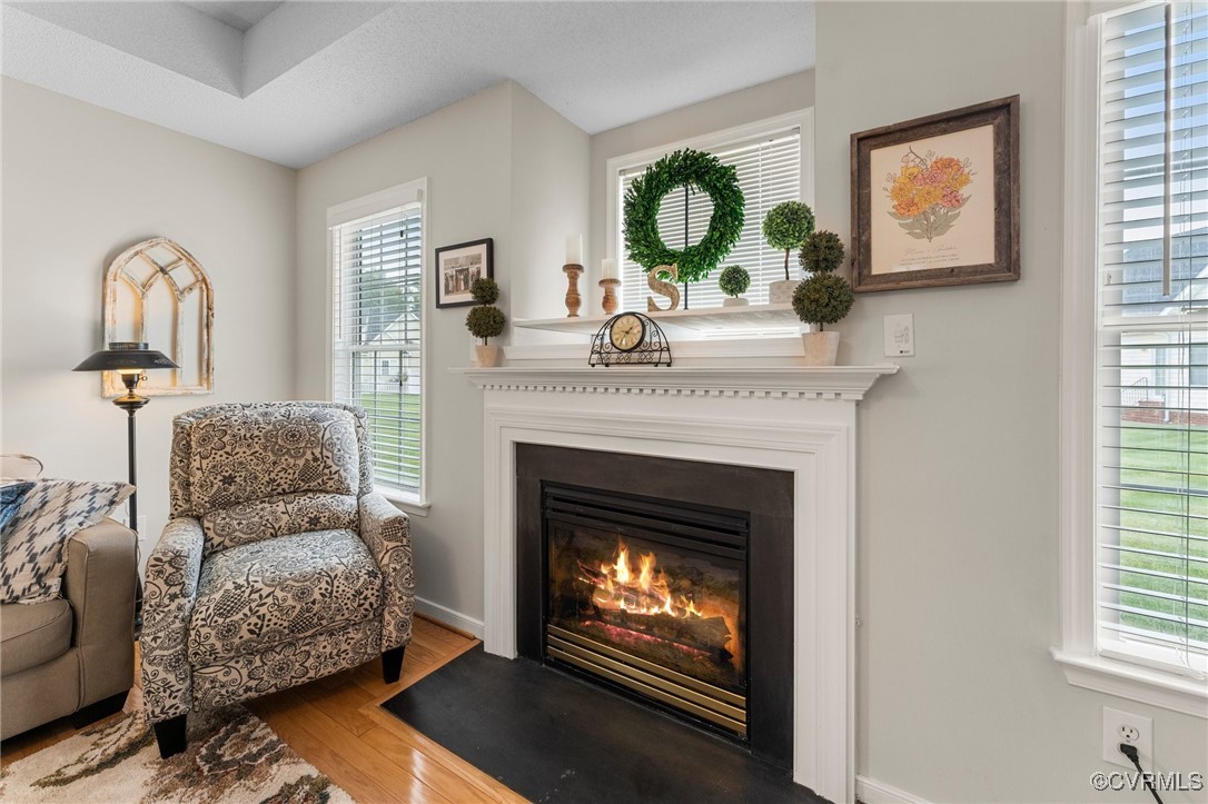 117 Carriage Point Ln