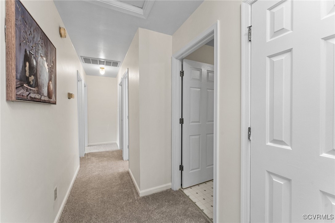 122 Tiger Paw Path