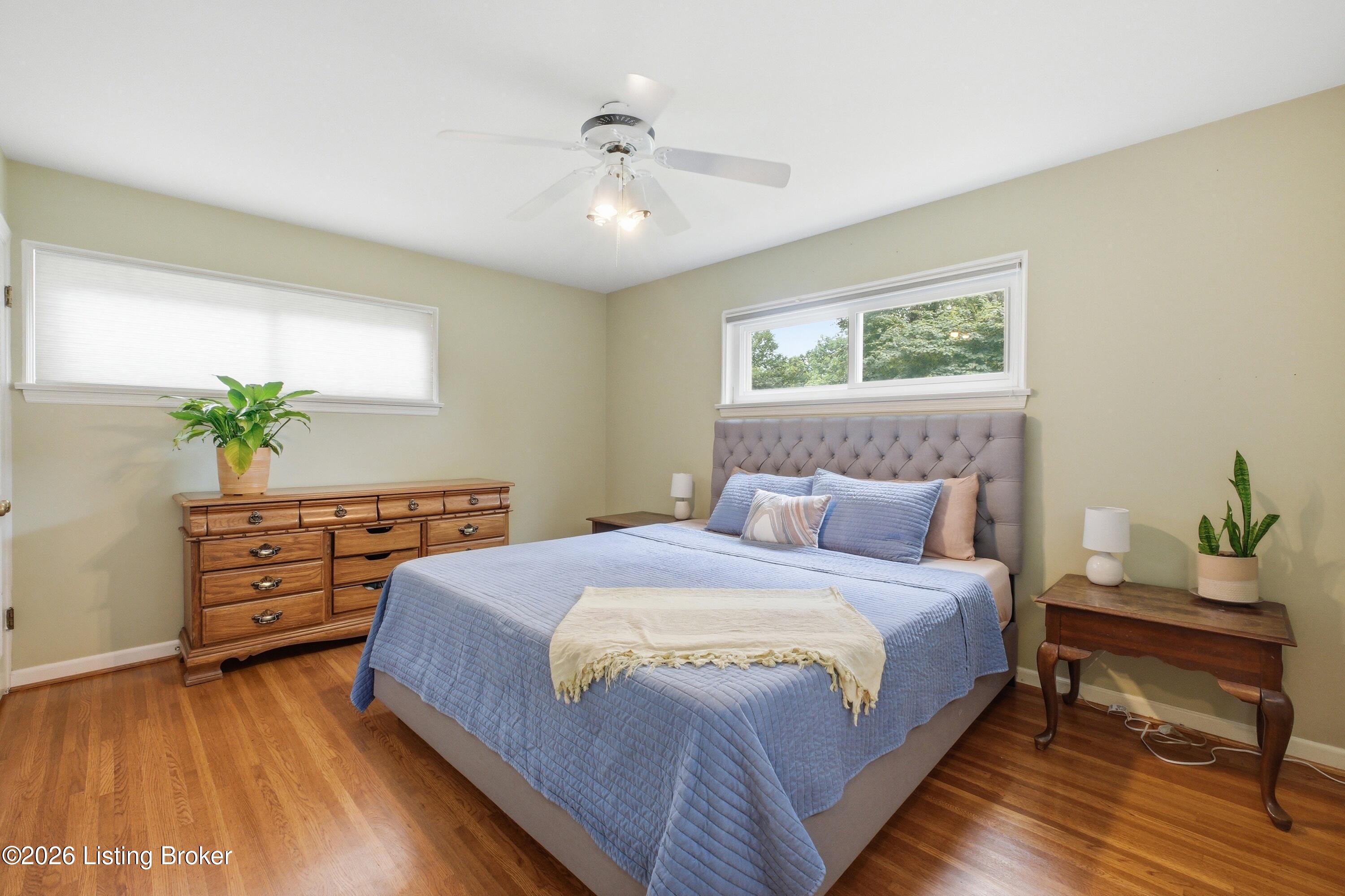 206 Dorchester Rd