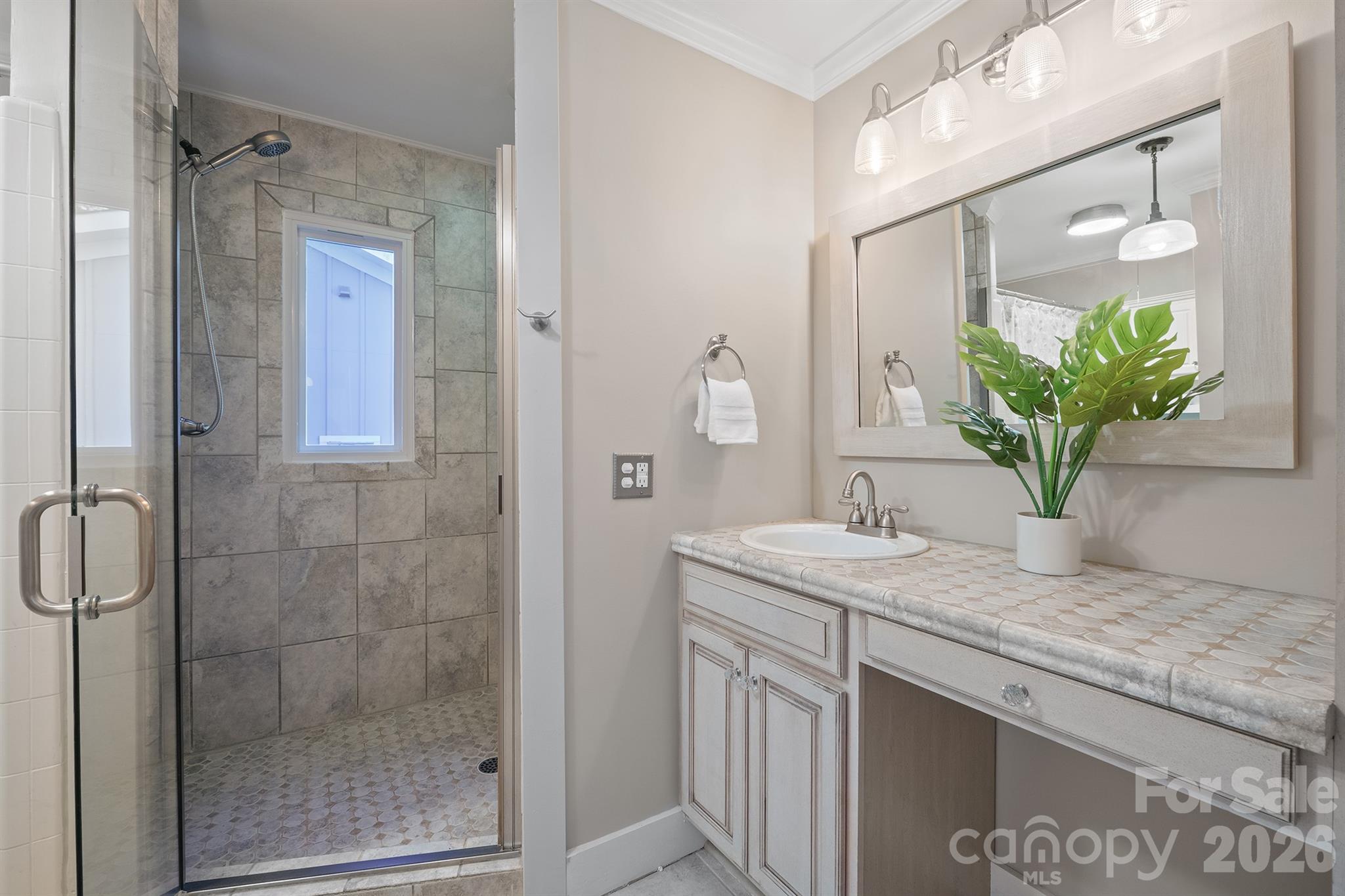 Bathroom with a tiled walk-in shower and white vanity topped with a potted plant.