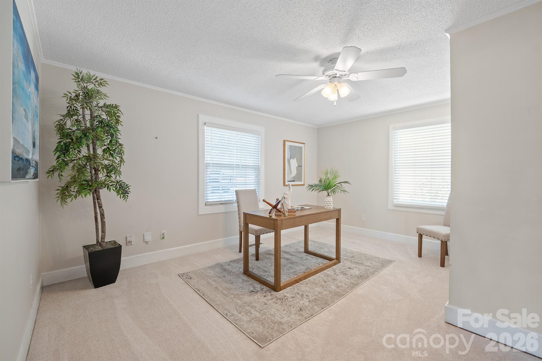 Staged home office with a wooden desk, patterned rug, two blind-covered windows, and a potted tree.