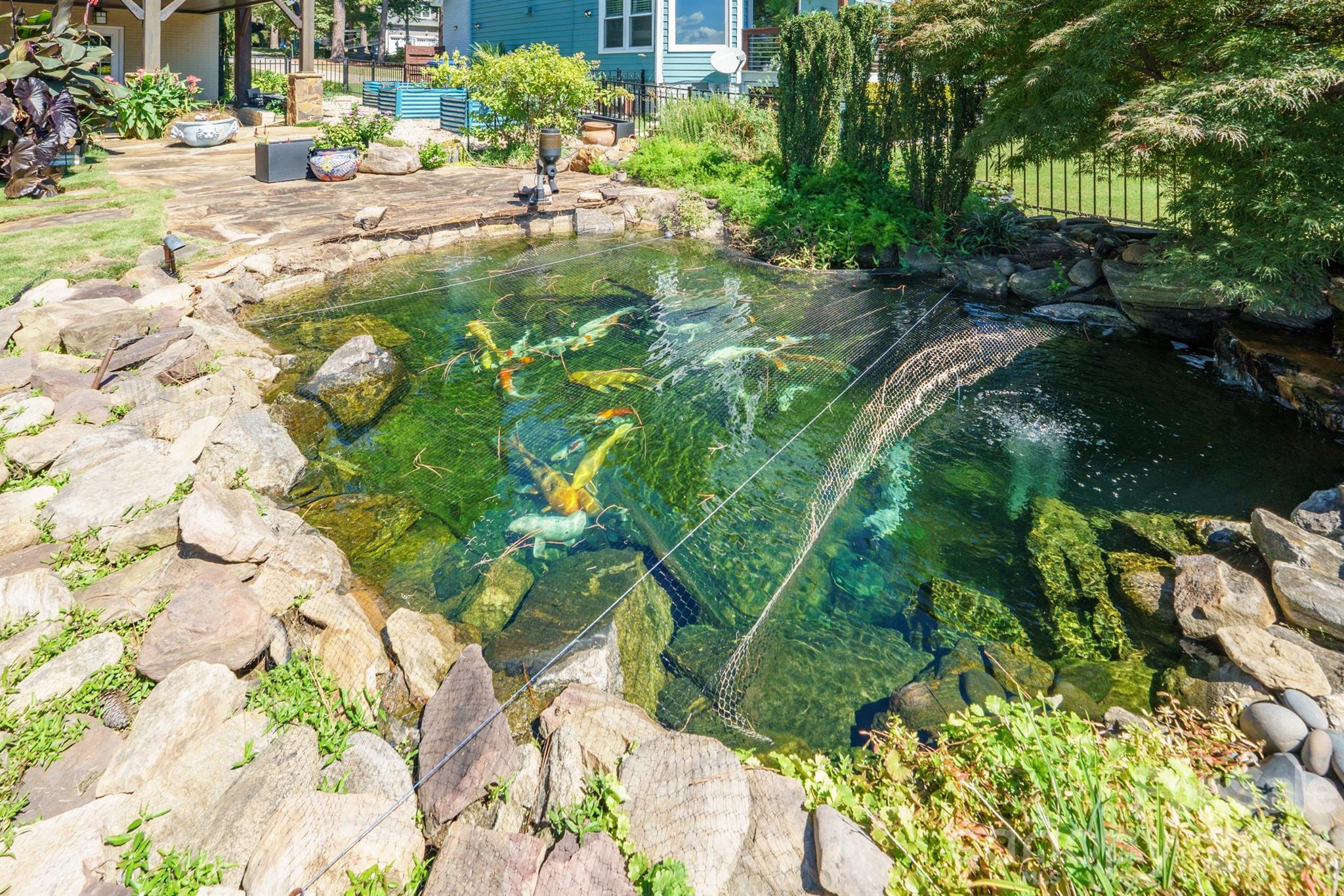 Rock-edged koi pond with protective netting beside a stone patio and blue house.