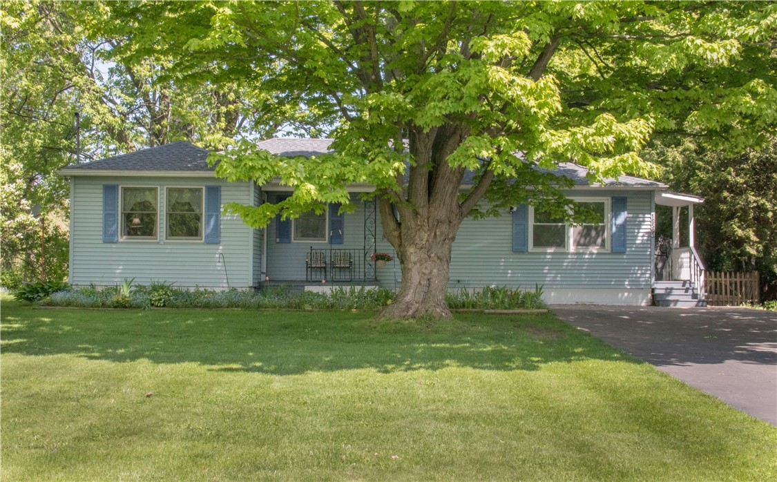 16593 State Route 31