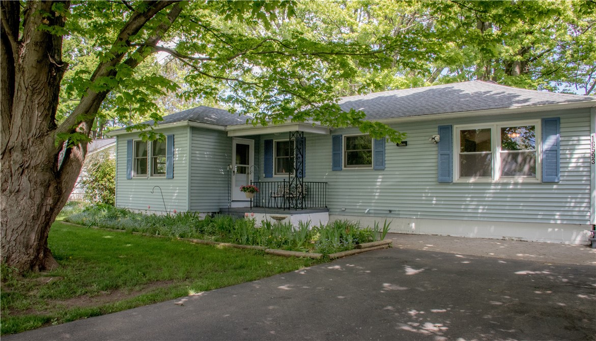 16593 State Route 31