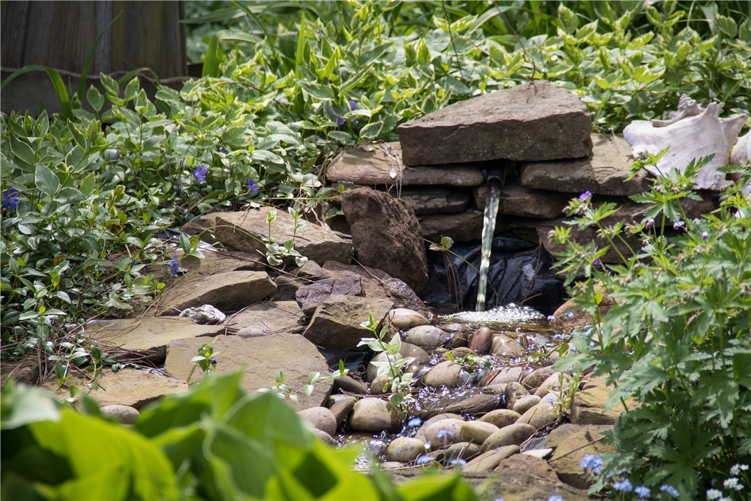 16593 State Route 31