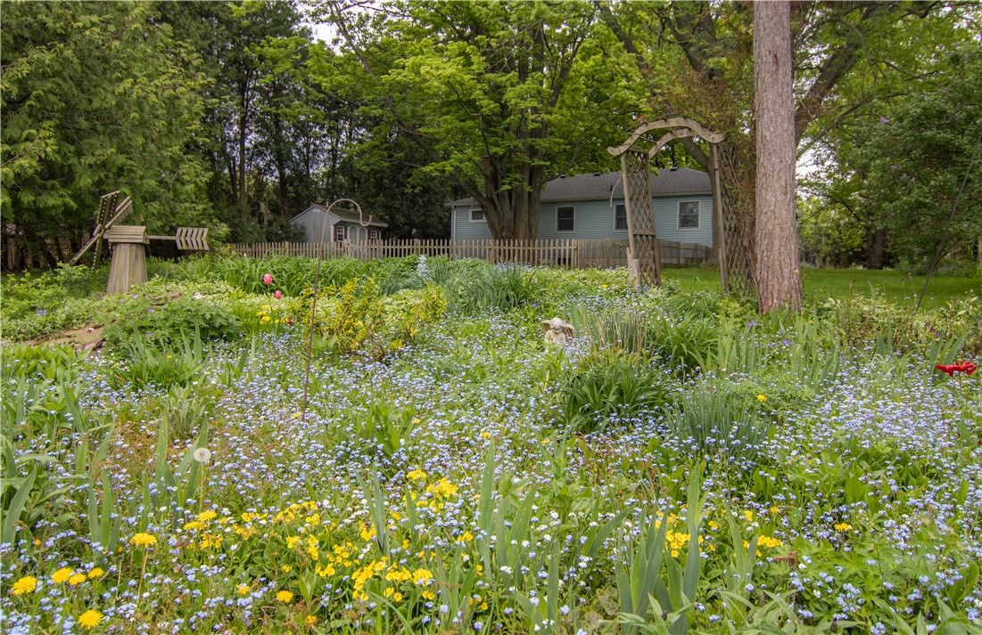 16593 State Route 31