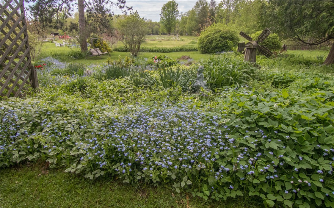 16593 State Route 31