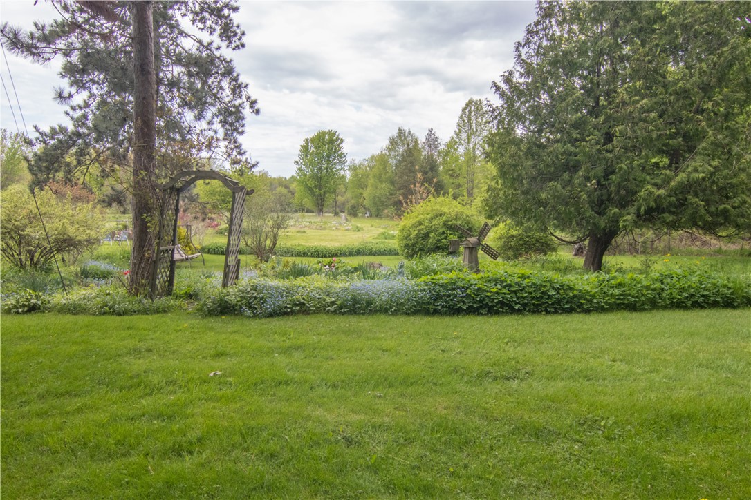 16593 State Route 31