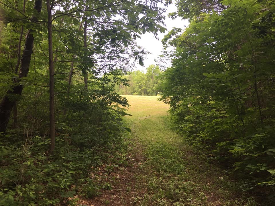 5180 County Road 16 Road