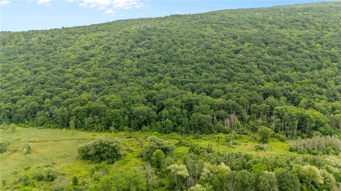 1369 Italy Valley Road