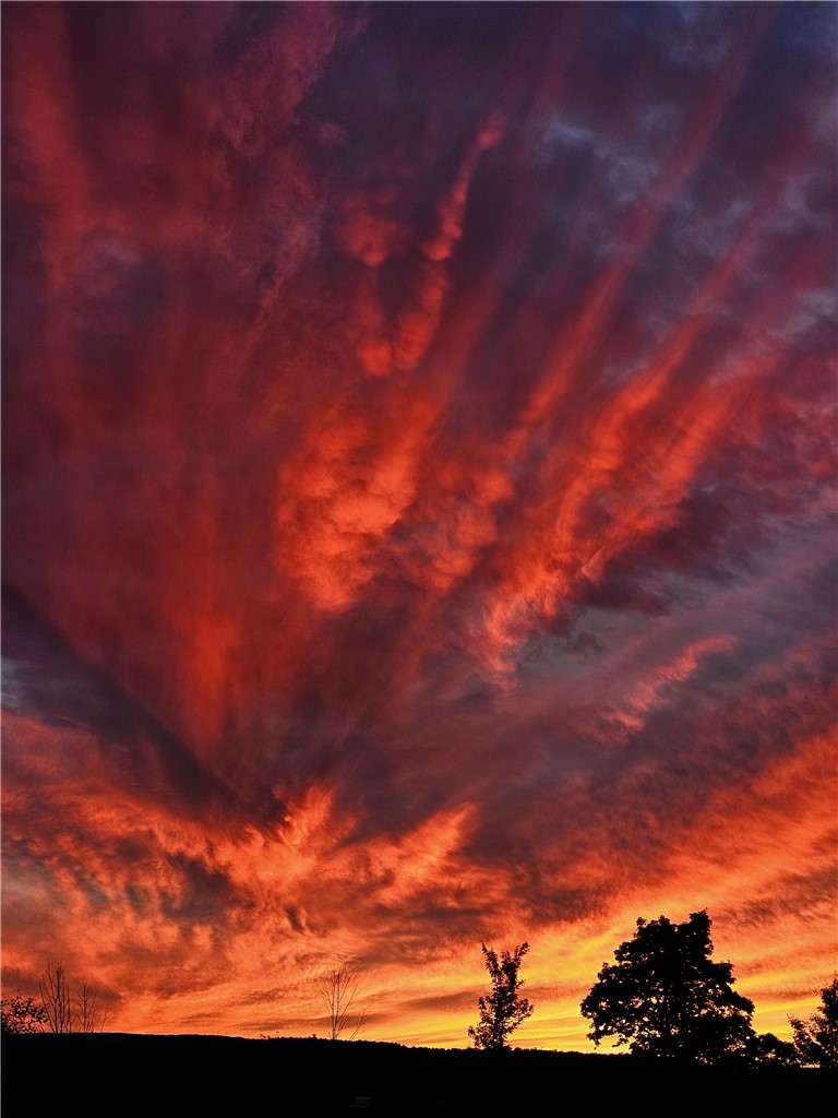 5397 Buck Settlement Road