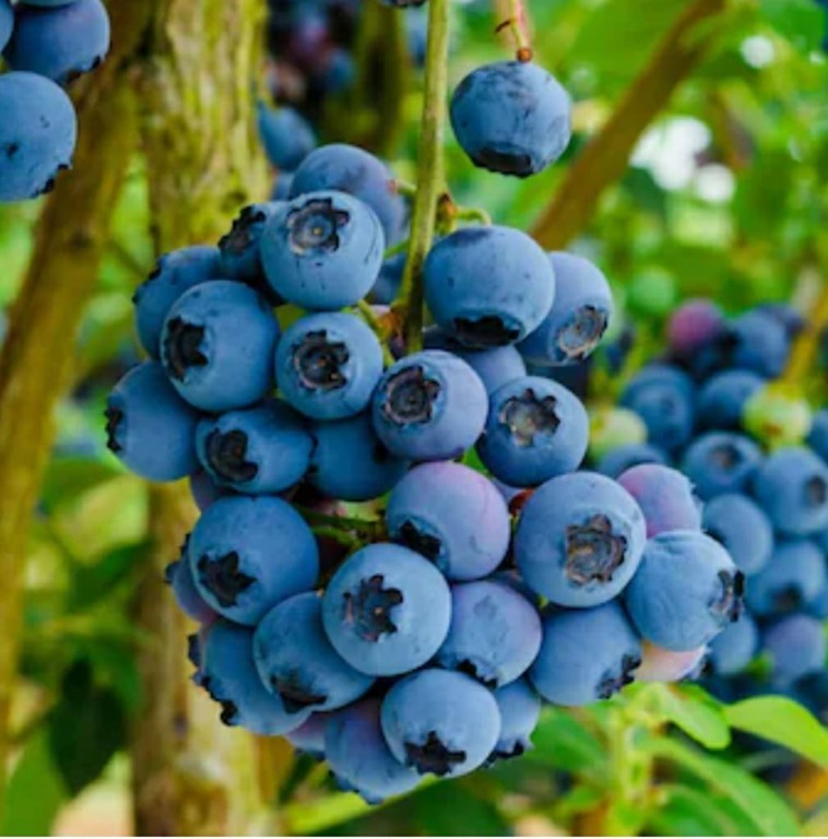 5397 Buck Settlement Road