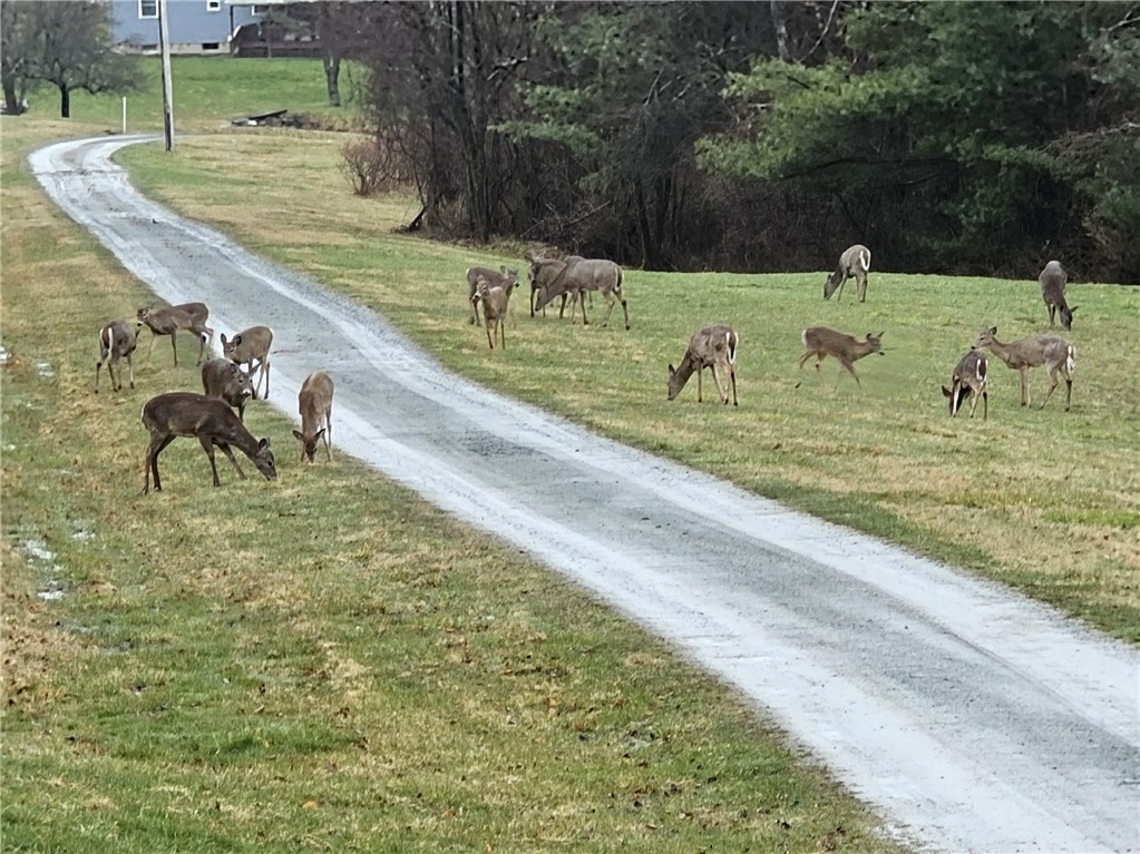 5397 Buck Settlement Road