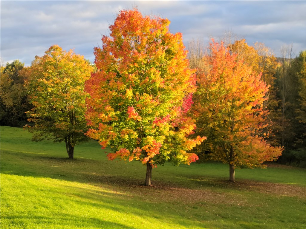 5397 Buck Settlement Road