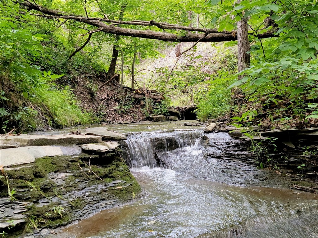 11 Red Cedar Falls Lane