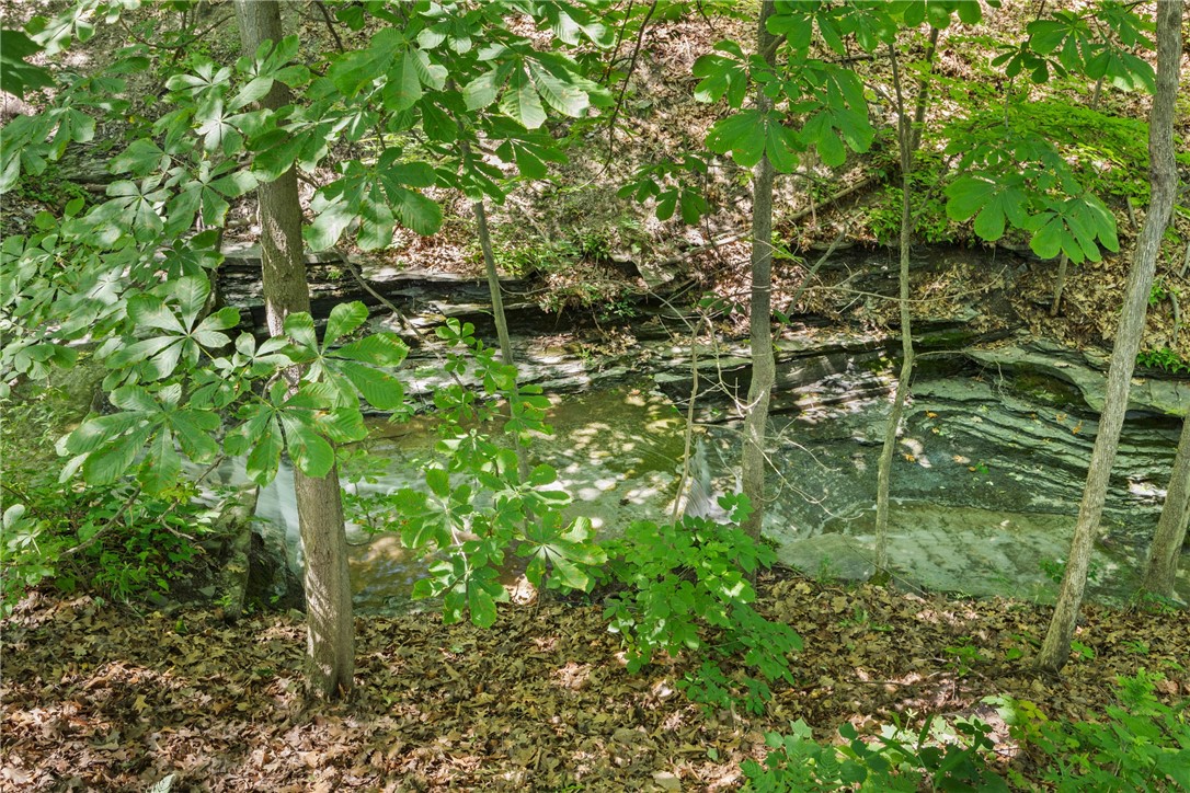 4 Red Cedar Falls Lane