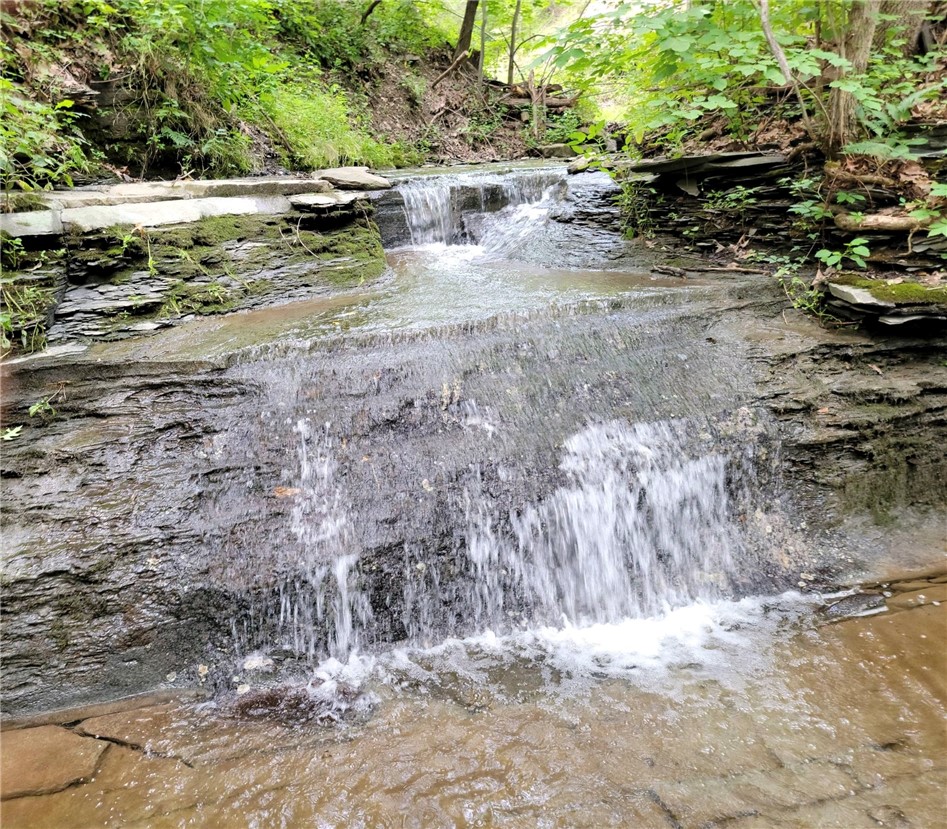 4 Red Cedar Falls Lane