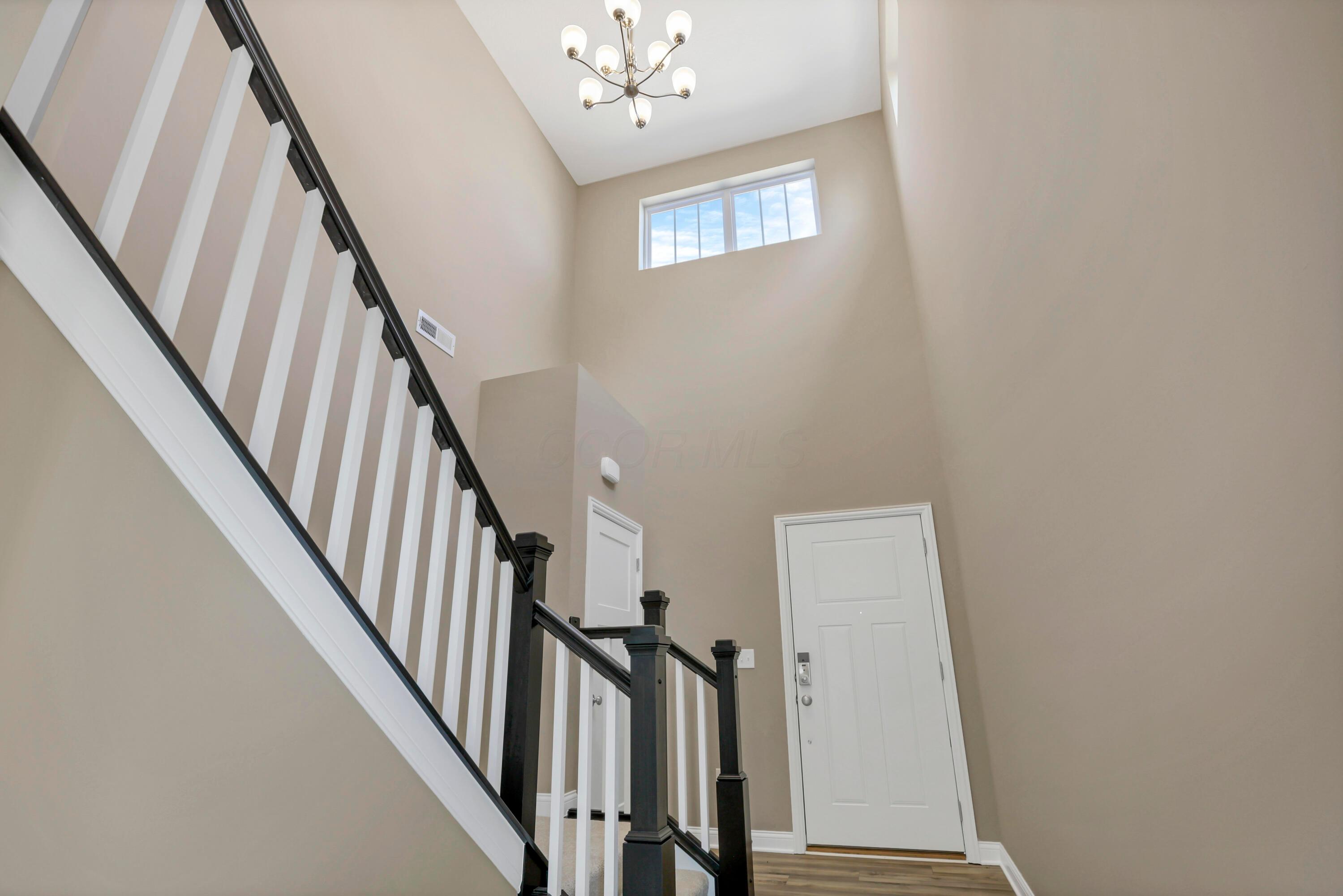 7309 Celebration Drive