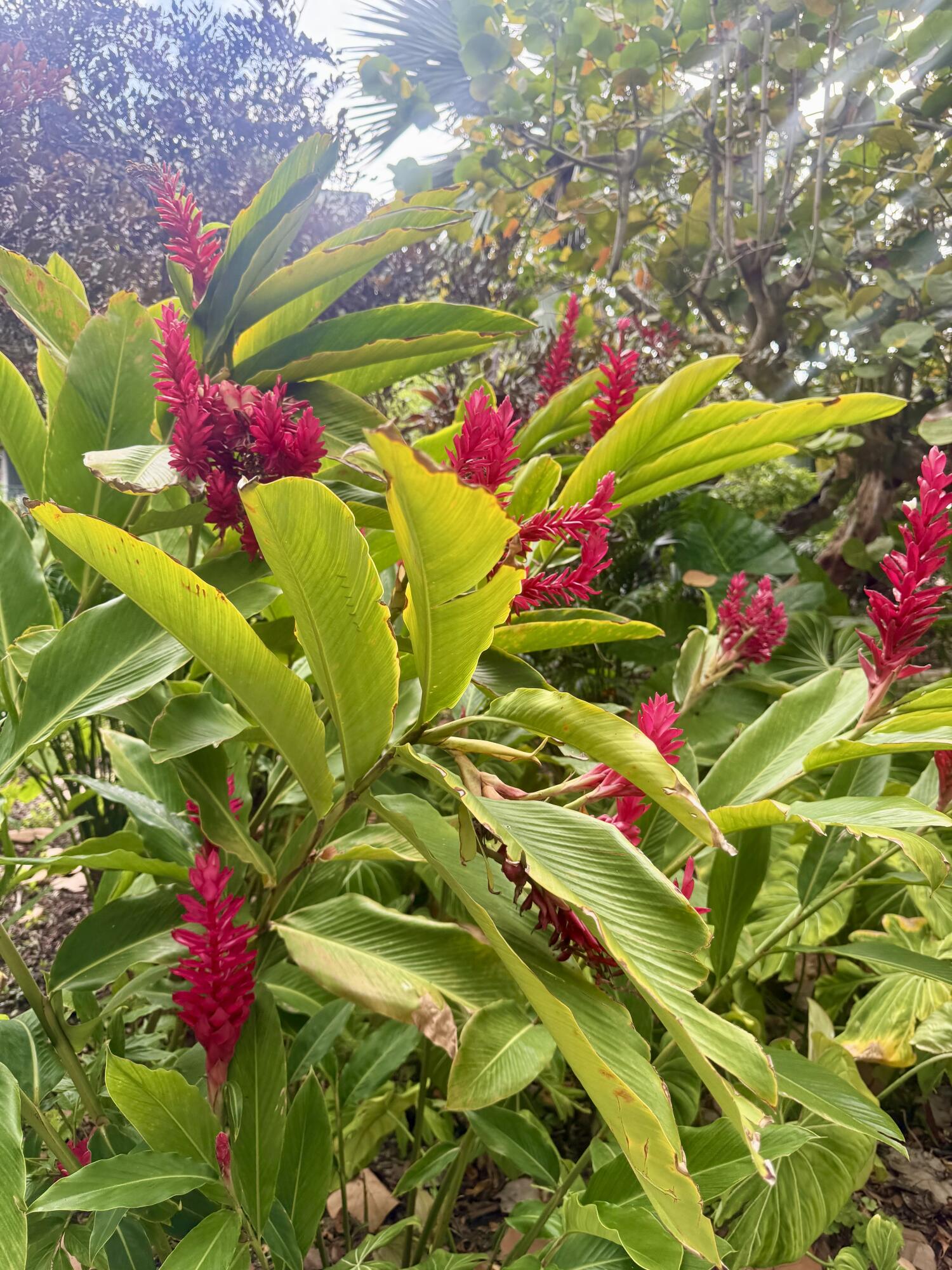 1800 Atlantic Boulevard Unit: 220C