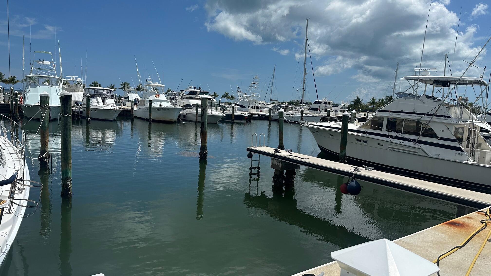 5950 Peninsular Avenue Unit: 643