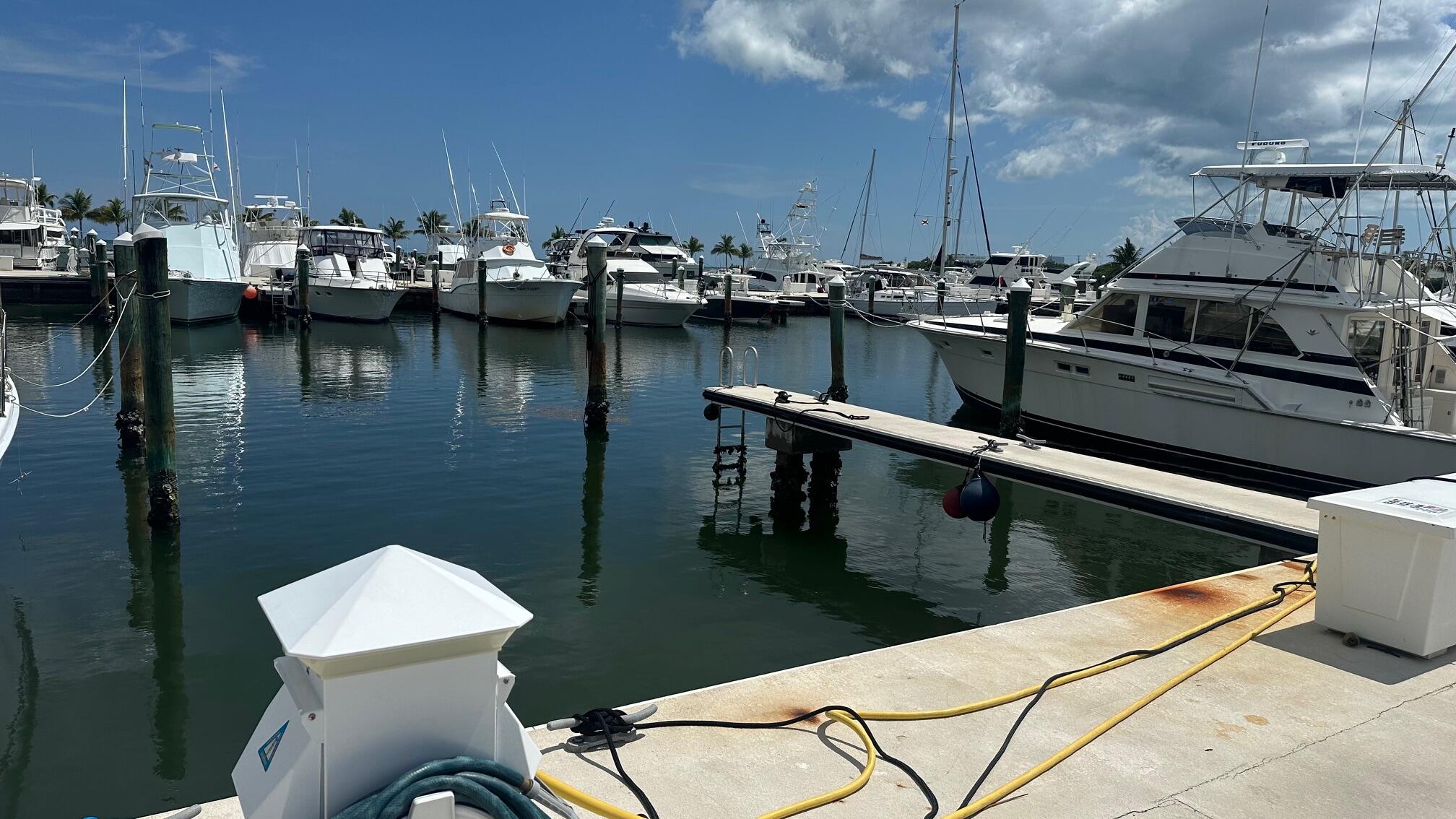 5950 Peninsular Avenue Unit: 643