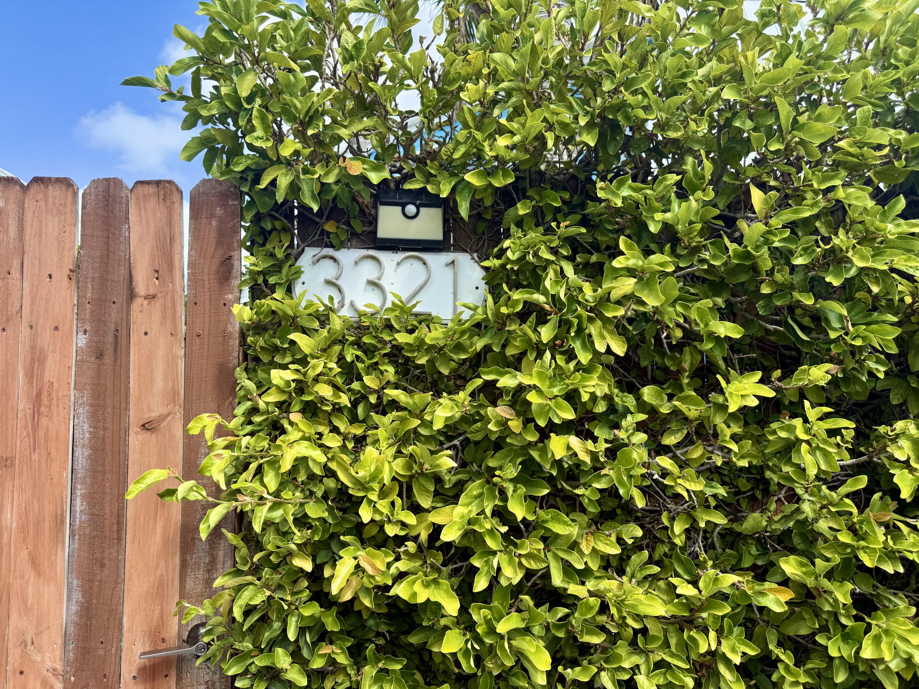 3321 Harriet Avenue