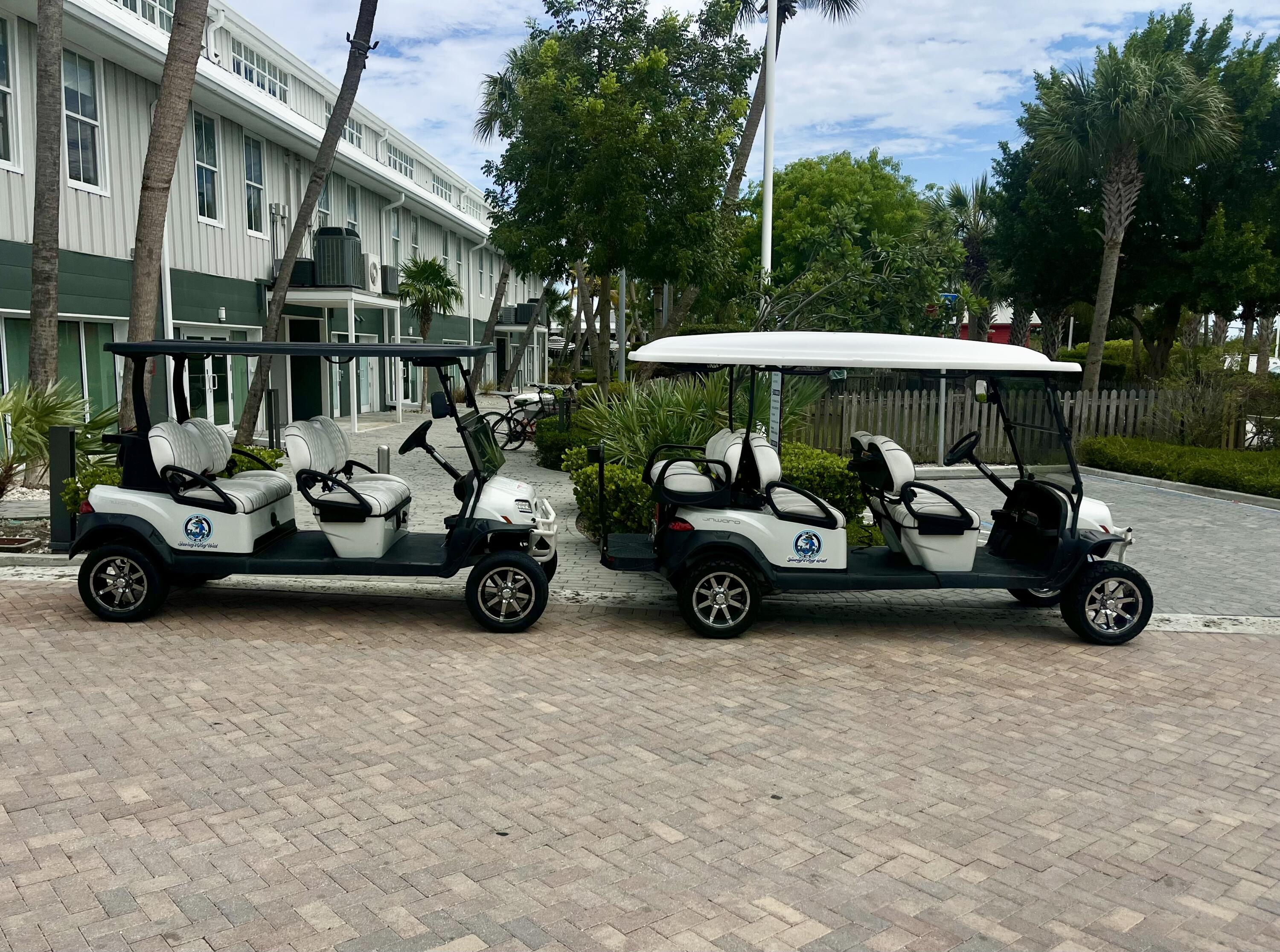 Two white golf carts parked outside a commercial building amid palm trees.
