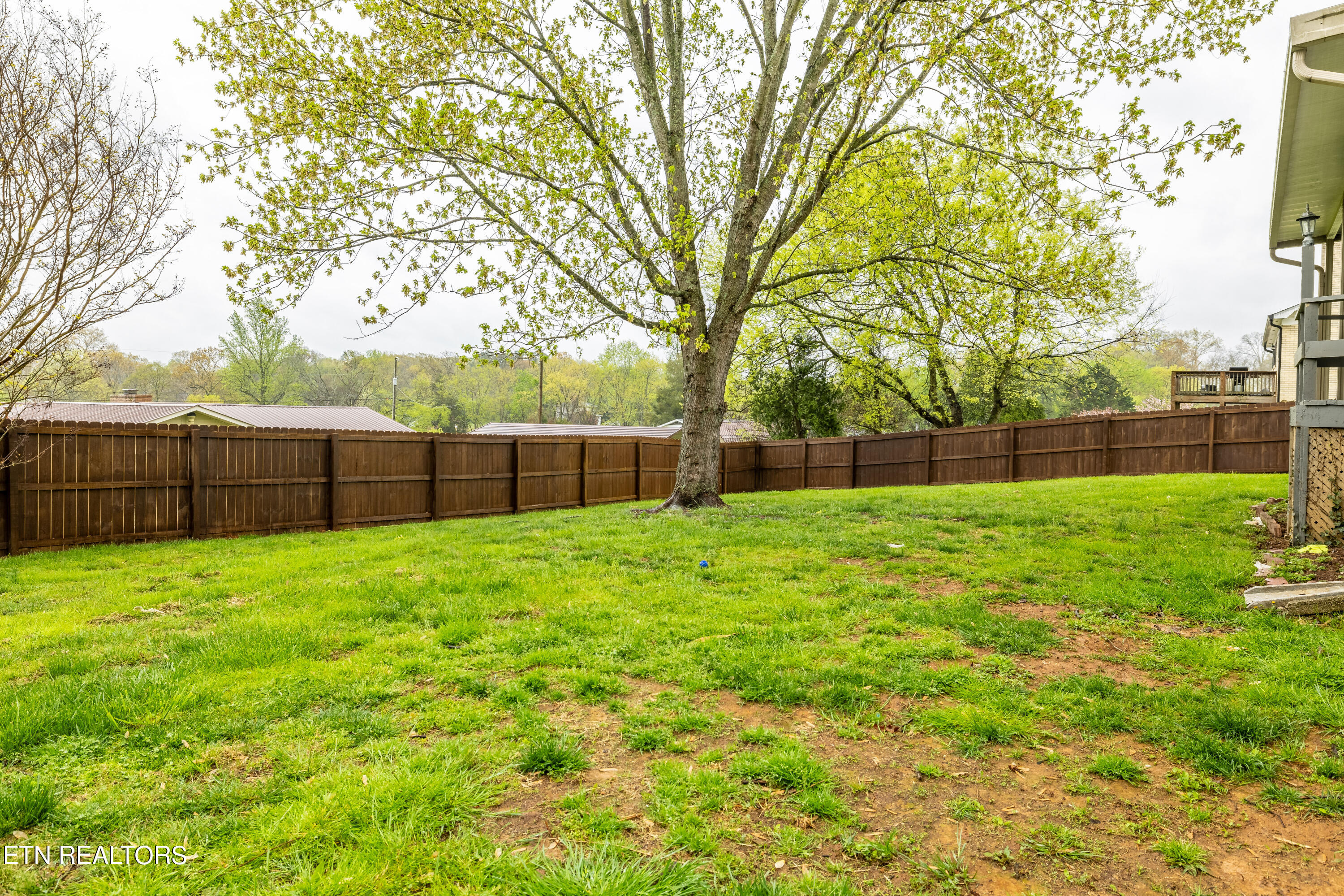 216 Arbor Drive